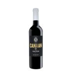 Dalton Canaan Red 2023 - Galileia - 750ml