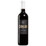 Dalton Canaan Red 2023 - Galileia - 750ml