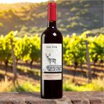 Dalton Family Collection Cabernet Sauvignon 2021 - Galileia - 750ml