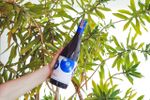 Elvi Sangria Sintonia Red (Tinta) - 750ml