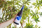 Elvi Sangria Sintonia Red (Tinta) - 750ml