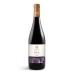 Galil Syrah 2023 - Galileia - 750ml