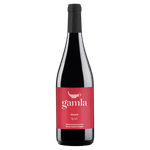 Gamla Syrah 2021 - Golan Heights - 750ml
