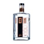 Gin Ion 750ml
