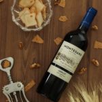 Montesano Merlot - DO Vale Central - 750ml