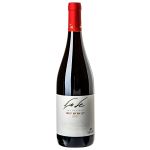 Shel Segal Red 2023 - Israel - 750ml