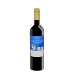 Unorthodox Merlot Cabernet 2021 - 750ml