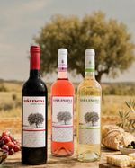 Kit Viña Encina 2024 - Tinto, Branco e Rosé - Castilla La Mancha - 3 unidades de 750ml