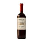 Terra Vega Cabernet Sauvignon Reserva 2023 - DO Valle de Colchagua - 750ml