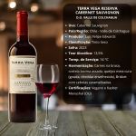Terra Vega Cabernet Sauvignon Reserva 2023 - DO Valle de Colchagua - 750ml
