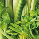 Suco Verde - Detox da Floresta 120g