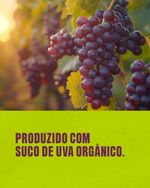 Vinagre Balsâmico Orgânico S/ Açúcar Viva Regenera 250ml