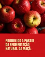 Vinagre de Maçã Orgânico Viva Regenera 250ml