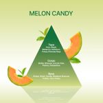 Vela Aromática Copo Melon Candy 180g