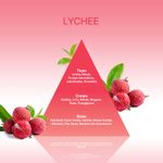 Refil Home Spray 500ml - Lychee