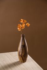 Vaso Nexo