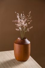 Vaso Aceno
