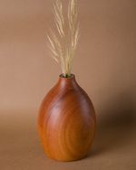Vaso Ninho