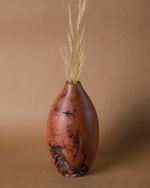 Vaso Laço