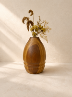 Vaso Reditus