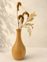Vaso Situs