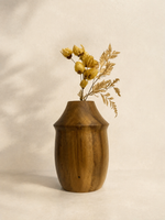 Vaso Aion
