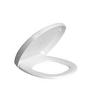 Assento Deca Aspen/Fast Termofixo com Slow Close - Branco Gelo