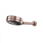 Chuveiro Docol Technoshower Cobre Escovado Parede