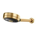Chuveiro Docol Technoshower Ouro Escovado Parede