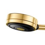 Chuveiro de parede Docol Technoshower Ouro Polido