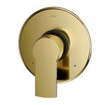 Acabamento Docol Argon Monocomando Chuveiro/Ducha para Base Deca - Ouro Polido