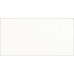 Revestimento Portinari White Plain Lux Bold 30x60