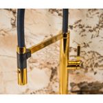 Monocomando de bancada para cozinha Lexxa Bagno Harco Dourado