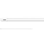 Lâmpada Taschibra Tubo Led 9,9w 60cm 6500k