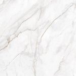 Piso Porcelanato Castelli Master Castel Tasso Acetinado 123x123