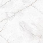 Piso Porcelanato Castelli Master Castel Tasso Acetinado 123x123