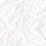 Piso Porcelanato Castelli Master Castel Tasso Lux 121x121 