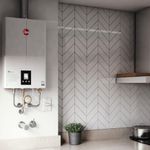 Aquecedor Rheem Digital 45l GLP Branco