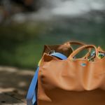 Bolsa Vichy