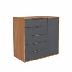 Cômoda 5 Gavetas 1 Porta Multiuso MDF Altezza Clean Belmax Freijo/Titânio