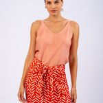 SAIA MIDI TRIBO
