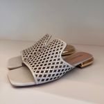 CHINELO RASTEIRA QUADRADO