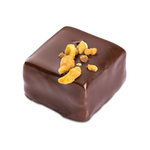 GANACHE PISTACHE NOIR 25X9G