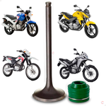 Kit Valvula Escape com Retentor haste verde Honda CBX XR 250 CB XRE 300