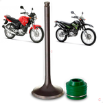Kit Valvula Escape com retentor Haste Verde Yamaha YBR XTZ 125 2000 a 2016