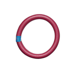 Flutuador Circular 55X6 Cm Sortido 1552 Mor UN