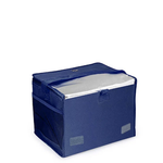 Bolsa Térmica 10 Litros 3609 Mor UN