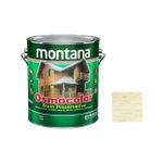 Verniz Stain Osmocolor 0,9L Incolor UV Glass Montana QT