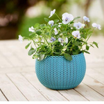 Vaso Cozy Cozies Xs Azul Pequeno Keter UN