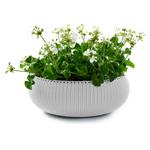 Vaso Cozy L Ice Keter UN